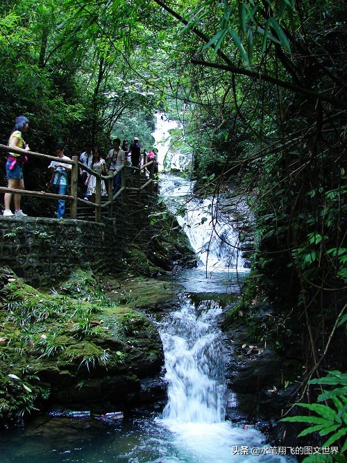 黑山谷深度洗肺,重庆黑山谷游记