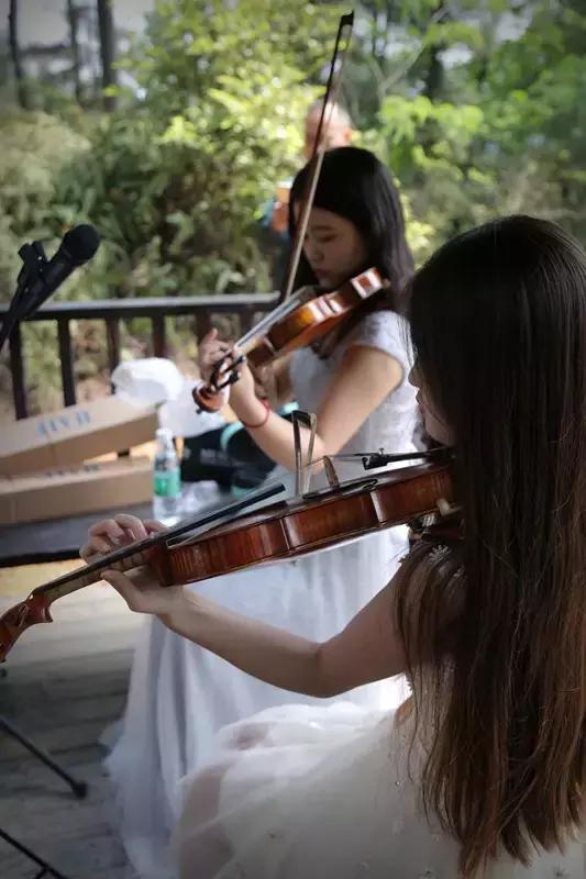 再过2天!仁寿森林音乐节来了,桐子花开满山头,粉白若雪!