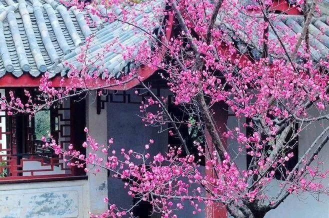 最稀奇的古怪的问题,13条稀奇古怪的问题