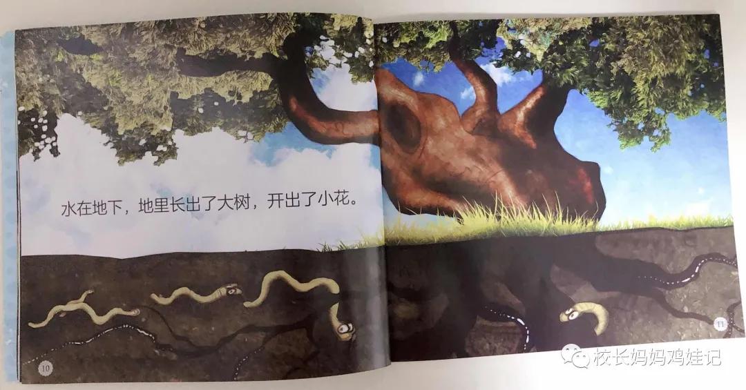 四五快读全套8册适合多大孩子,4岁学完一年级课程