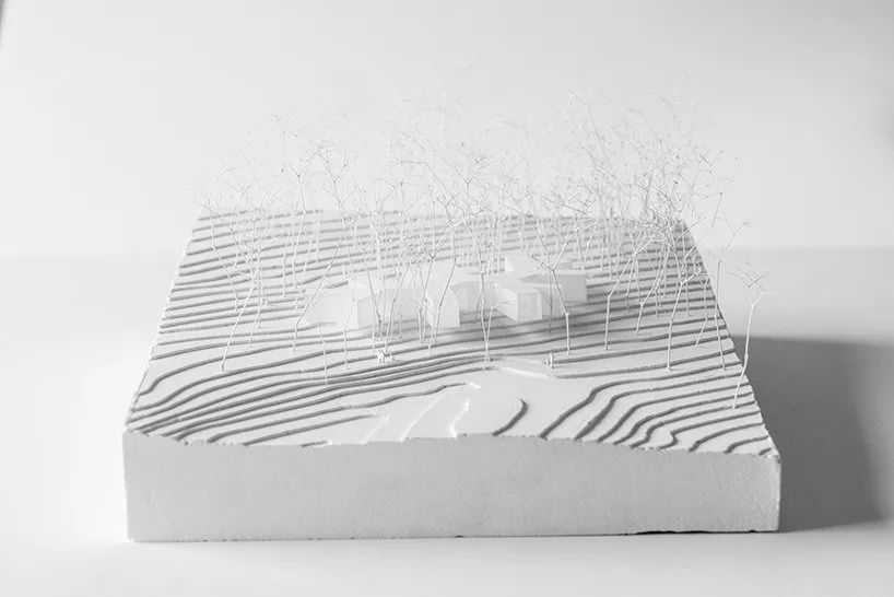 森林屋建筑,林中木屋建筑