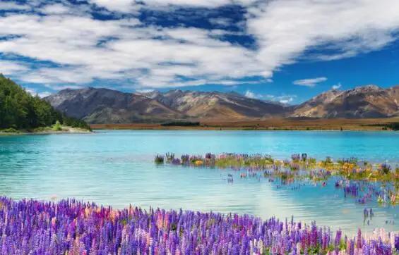 形容人美丽的英语单词,形容一个人的美貌的英语单词