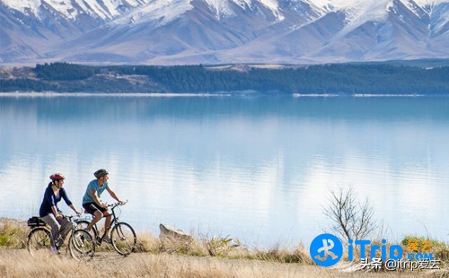 为何越来越多国人选择移民新西兰,为什么国人移民新西兰