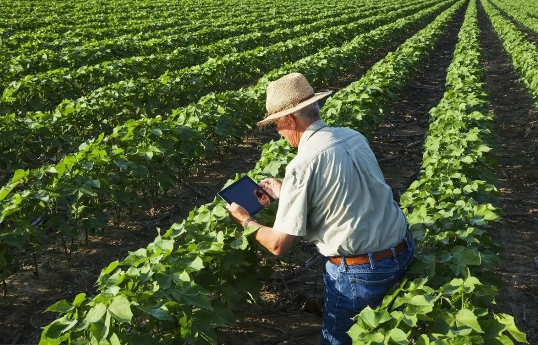 日本爱东町地区的循环农业,日本滋贺县爱东町区