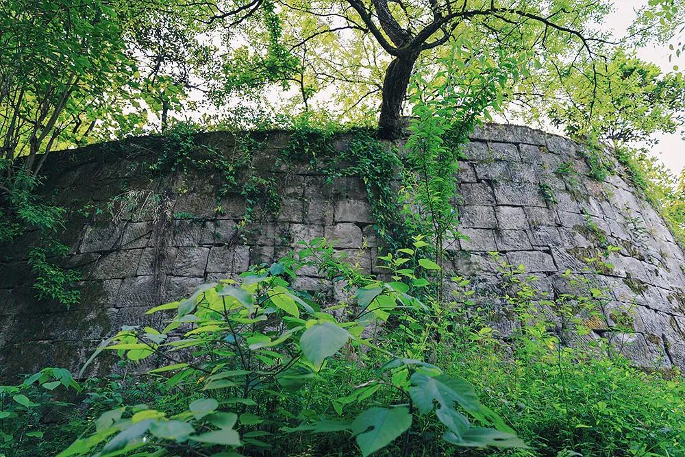 重庆市垫江县鹤游坪,垫江鹤游坪古镇