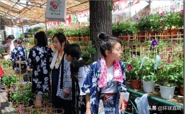 日本东京jr山手线,东京站新干线和山手线