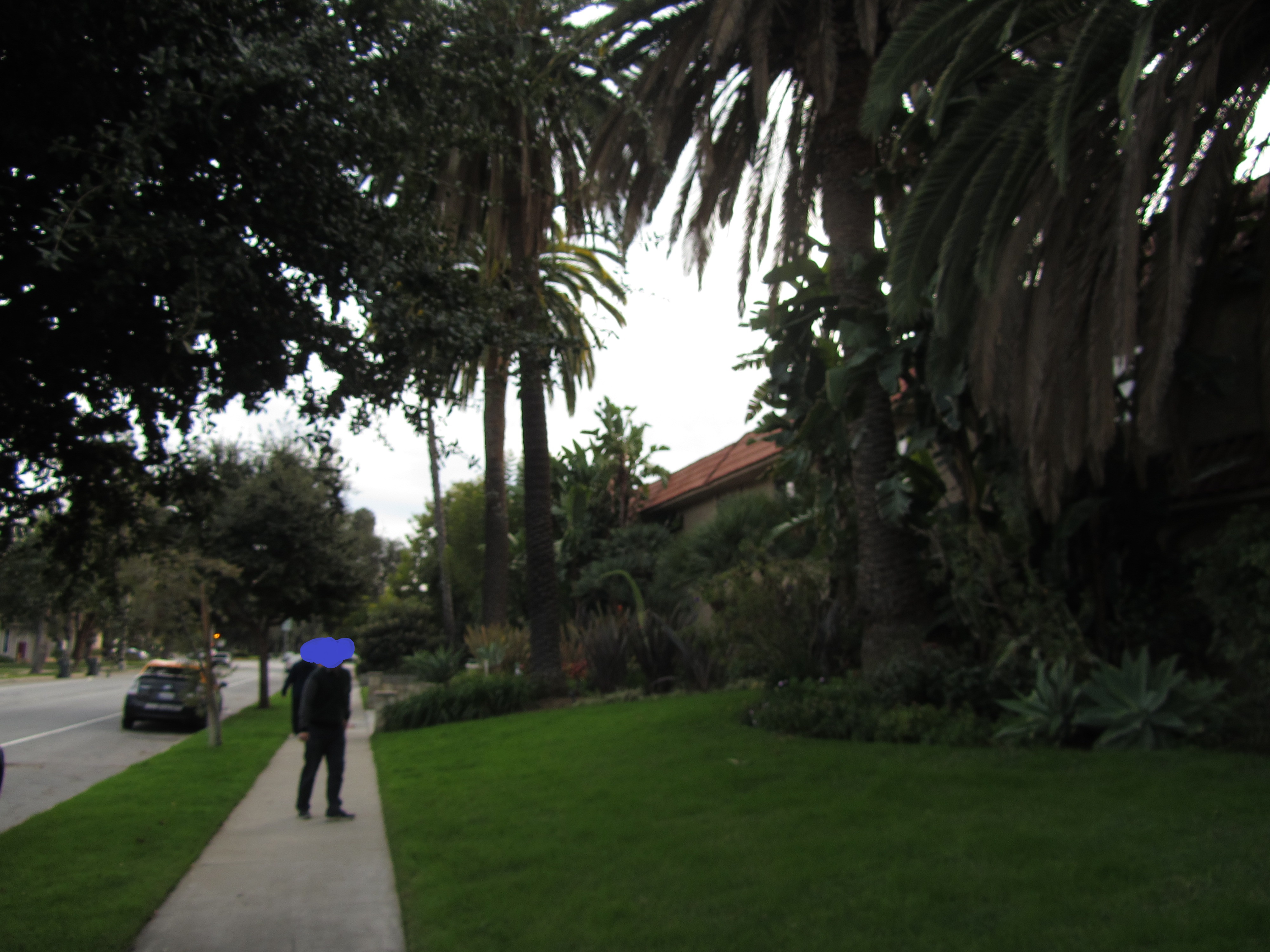 美国人找我要烟抽：美国印象