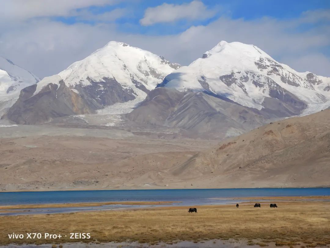 iphone13pro拍照对比vivox70pro,iphone13拍照对比vivox70pro