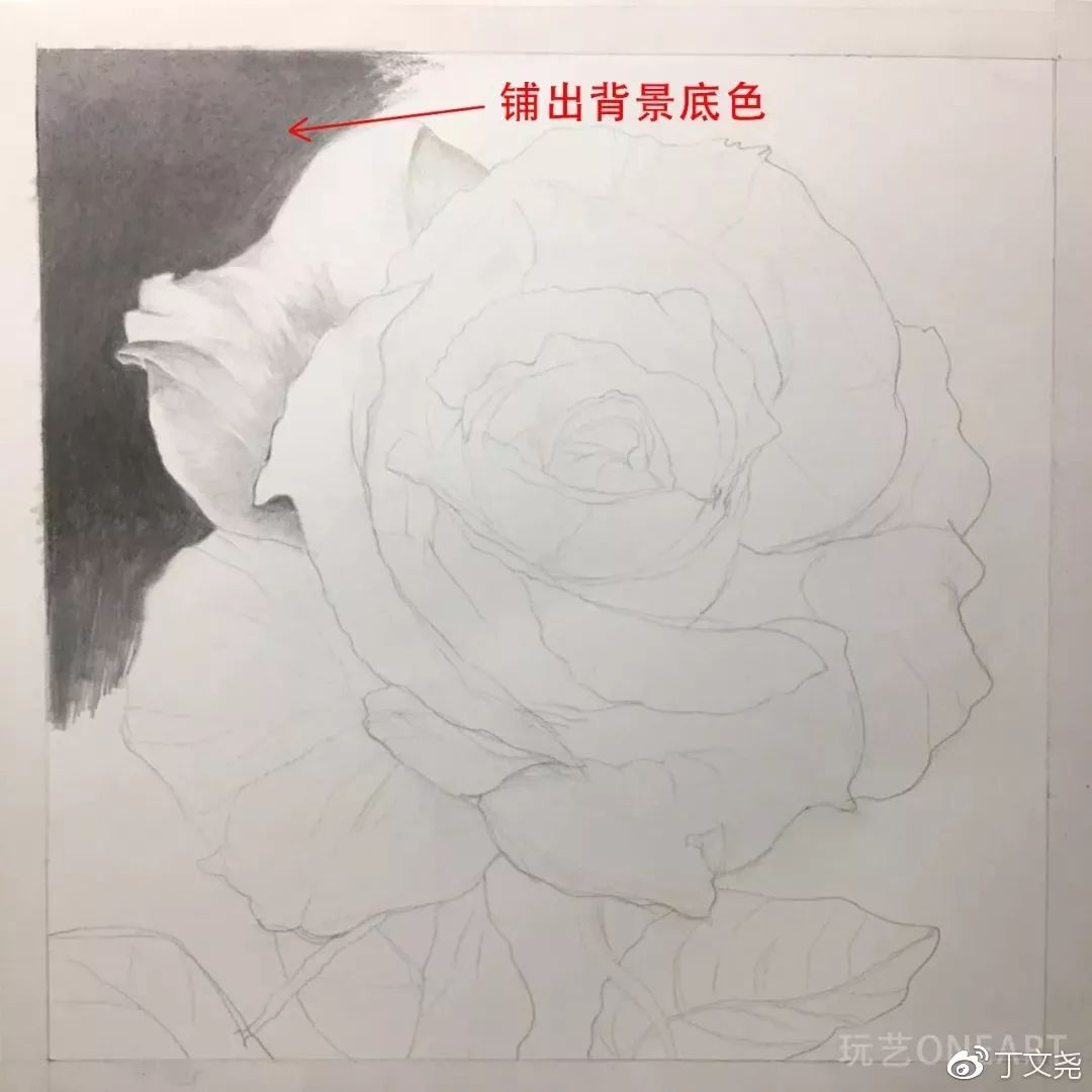 素描基础绘画教程郁金香,素描丁程鑫详细教程