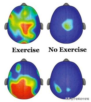 运动是孩子最好的学习方式,运动可以提高孩子智商吗
