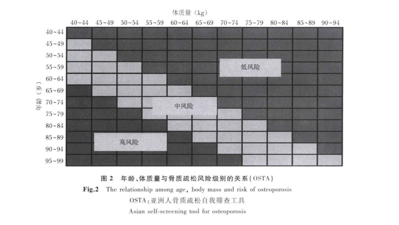 骨质疏松的治疗及预防论文,骨质疏松症的预防和治疗动画