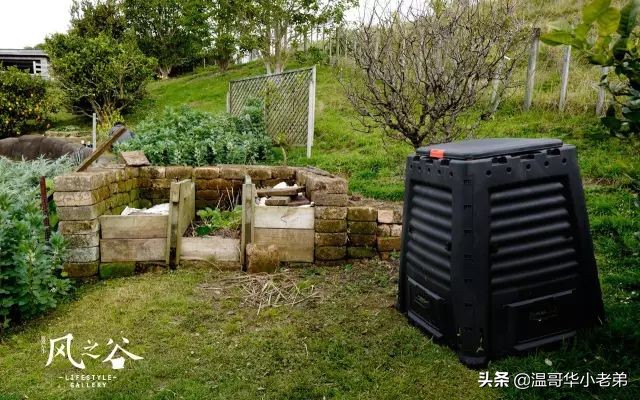 十几年的夫妻感悟,十年的老华人含泪感悟