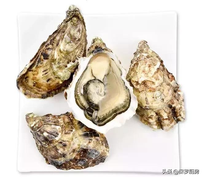 海鲜大荟萃,常见贝壳类海鲜