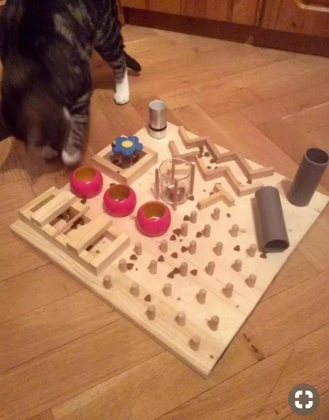 猫一次喂多少ml葡萄糖怎么喂,养猫知识关于喂猫常见的4个误区