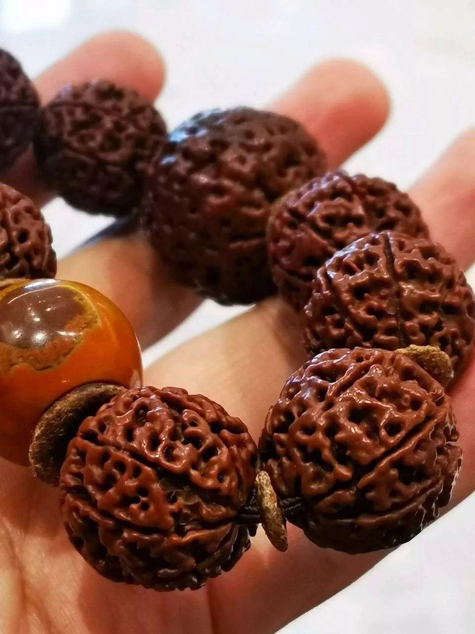 金刚菩提和落地红对比图,盘了两年的金刚值多少钱