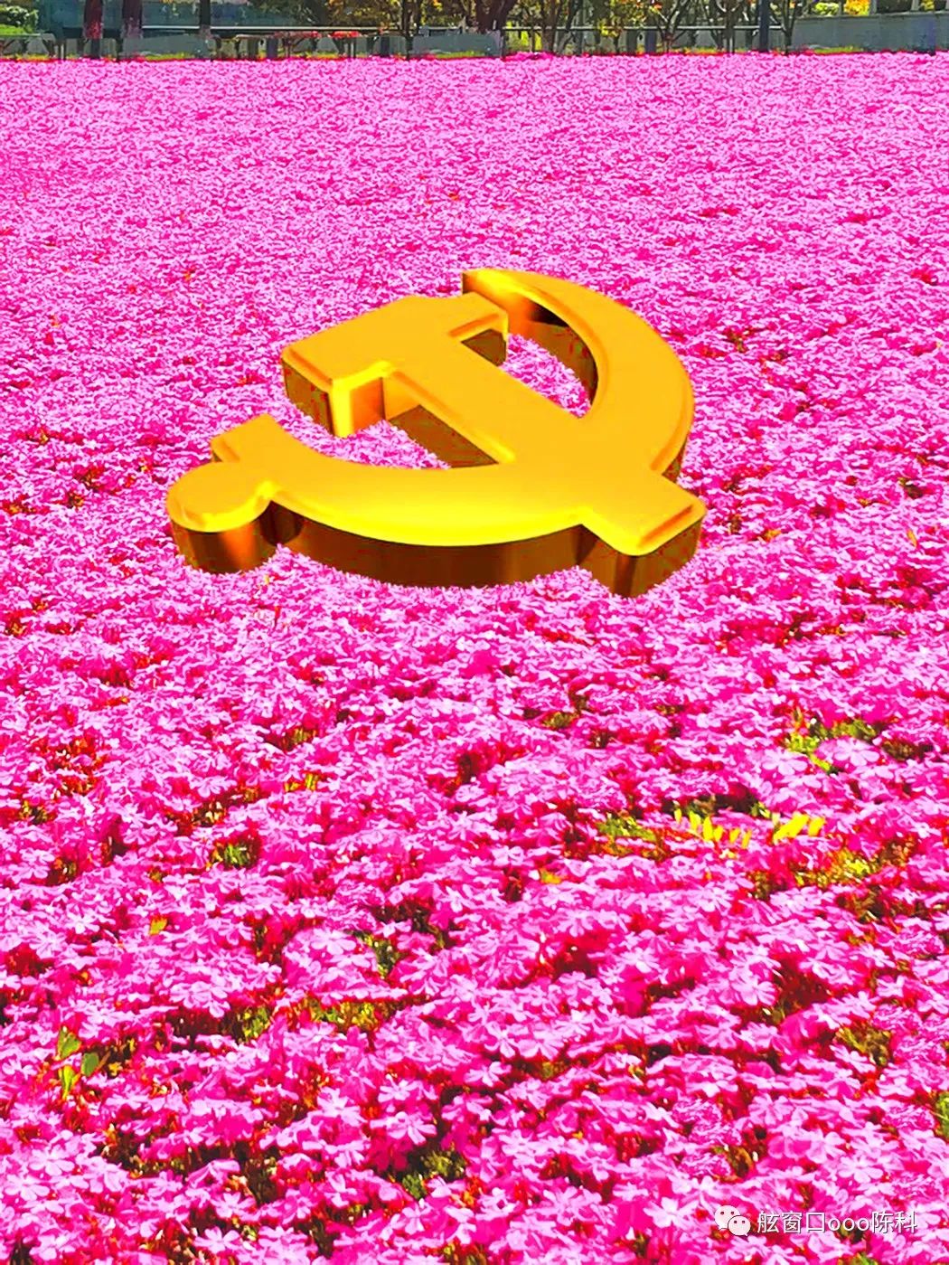 火红色的七月,火红的7月