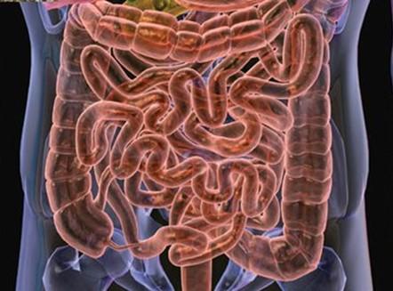 消化不良肠子里一直咕噜会得病吗,肠道蠕动消化不良吃什么药调理