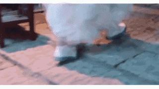 开春必选的鞋子,开春第一双鞋子选它百搭又高级