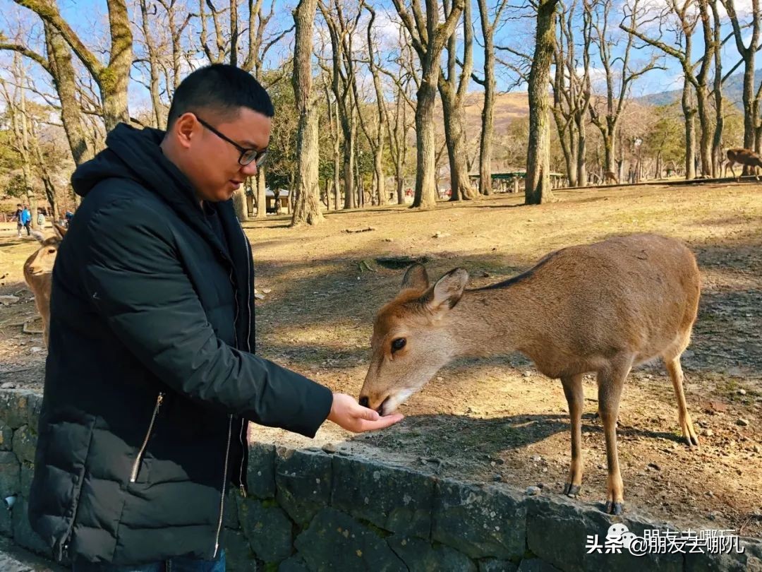 日本大阪京都自由行攻略大全,大阪京都奈良旅游攻略自由行
