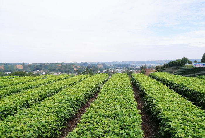 如果穿越到古代你会怎么做生意,如果穿越回到过去怎么赚钱