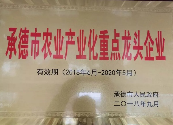 塞外药乡，济世情怀——访“济世黄金养生茶”产业创始人贺鹏途