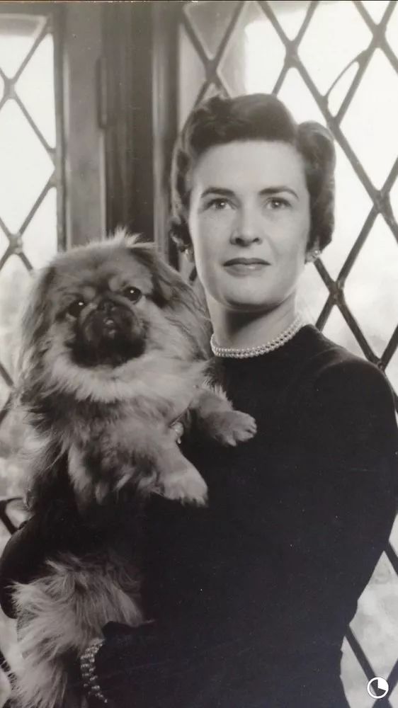 youjumpijump你会说中文么,youjumpijump下一句