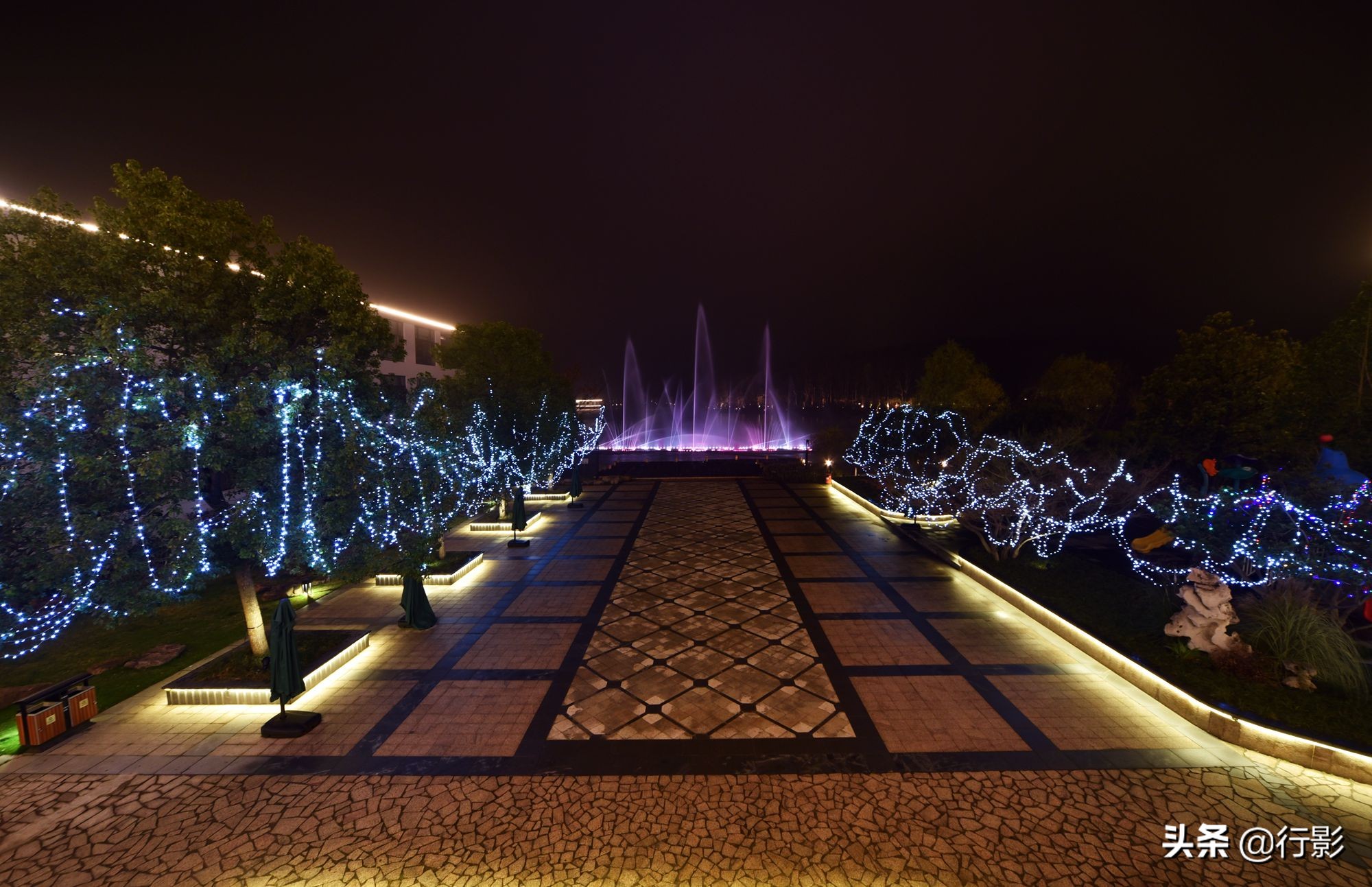 南京紫金山庄菜,南京紫金山庄钟山楼