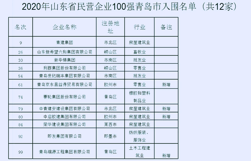山东本土房企10强,山东地产龙头企业