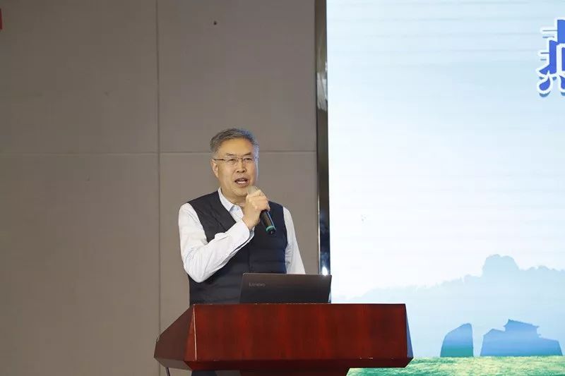 腰痛肩背疼中医怎么治疗,腰痛背痛直不起腰最快恢复方法