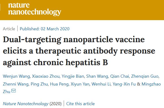 生物物理所等揭示淋巴结靶向纳米疫苗免疫新机制