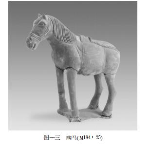 西安雁塔潘家庄挖出古墓,西安墓地发掘最新