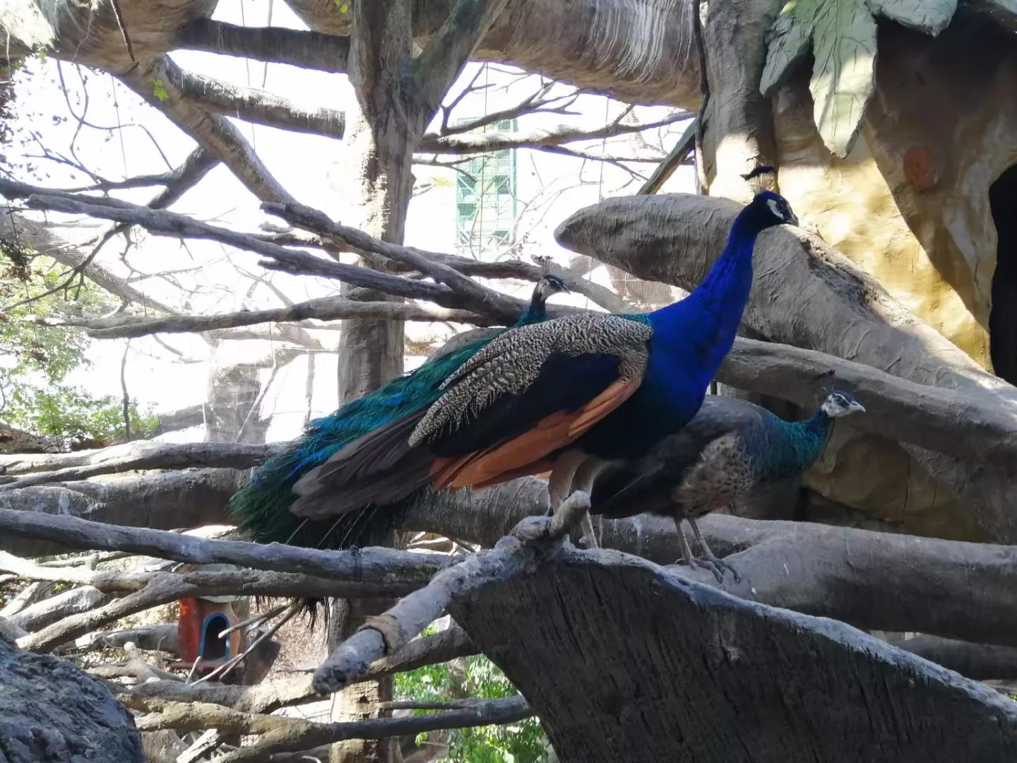 番禺地铁7号线旅游攻略,广州番禺七号线游玩攻略