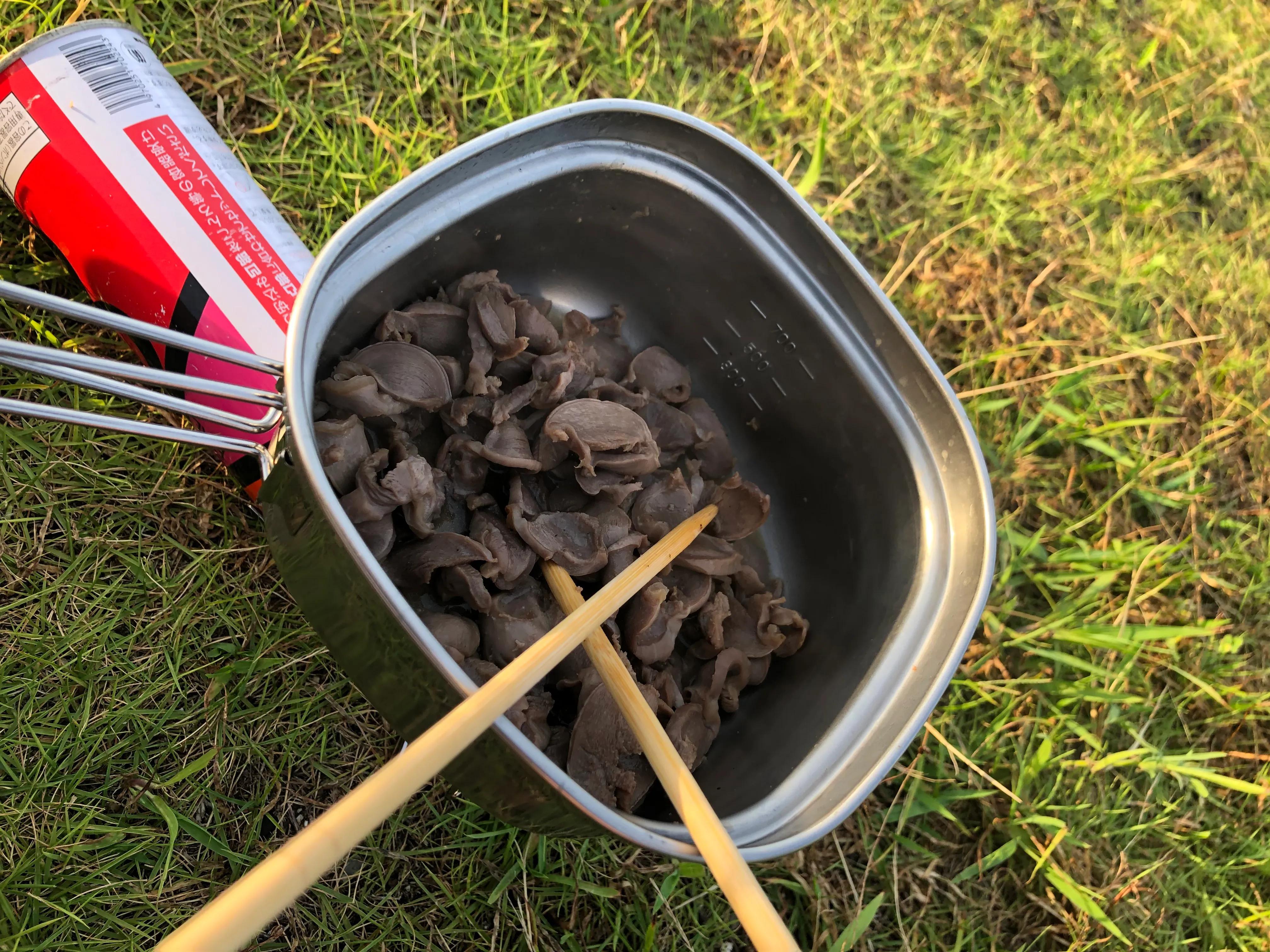 来到四国最北端，今天是最后的露营绕四国一圈的自行车旅行#11