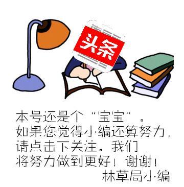 新森林法林地管理条款,中华人民共和国最新森林法全文