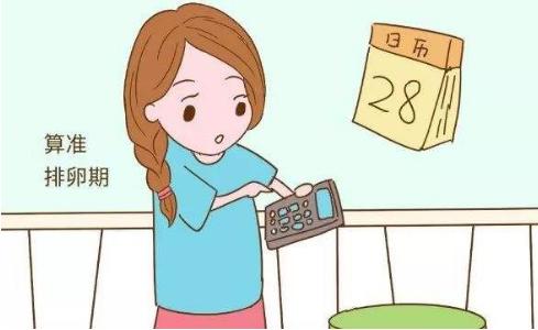 如何快速备孕成功,如何能快速怀孕备孕成功4大经验