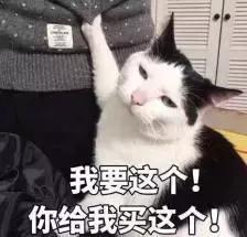 山下智久2023年,山下智久2017上海