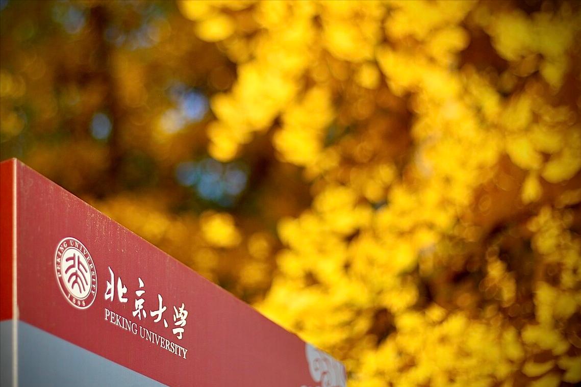 北大超冷门专业,北大最冷门的专业有哪些