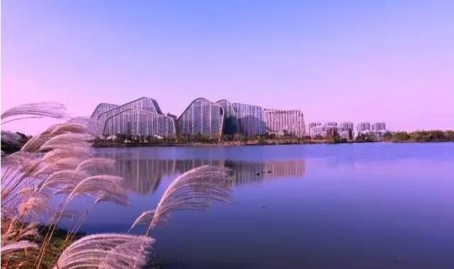 杭州三大区,萧山和余杭谁的未来更强