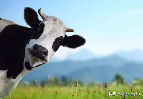 如何挑选婴幼儿奶粉,如何给宝宝挑选消化好的奶粉