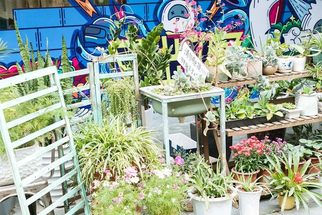 深圳夜晚小众打卡地景点,深圳十个小众打卡地