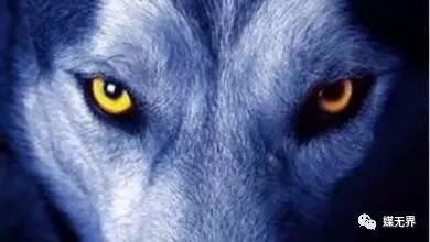 疫情后中国广告销冠全员战狼赢销力军团必须要牢记的50句格言