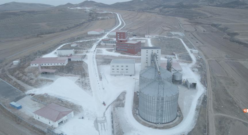 强强联姻!3600头家育系*猪种**落户重庆正大,为猪业复产添动力