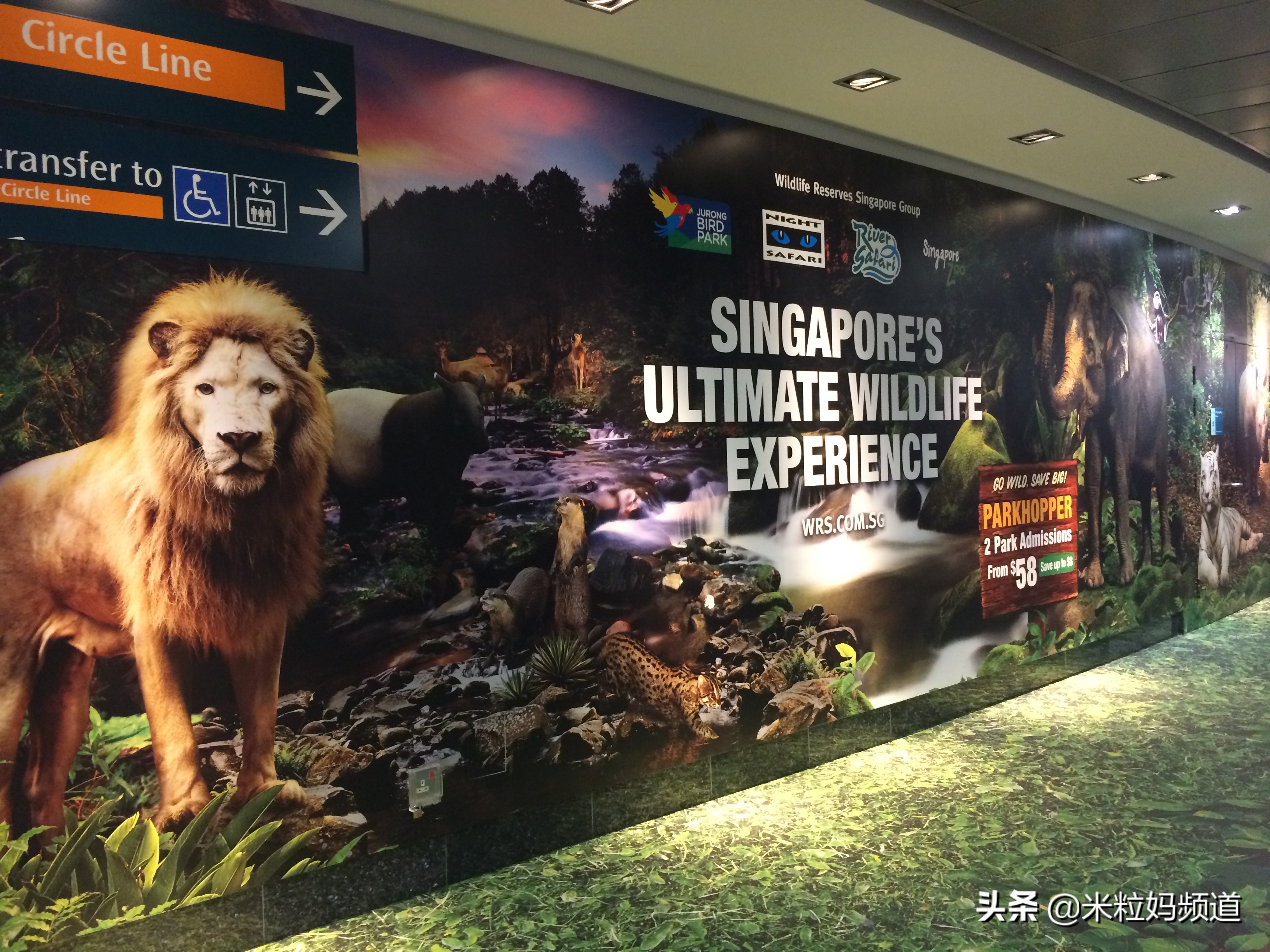 新加坡亲子游7天6晚攻略,新加坡旅游攻略推荐遛娃