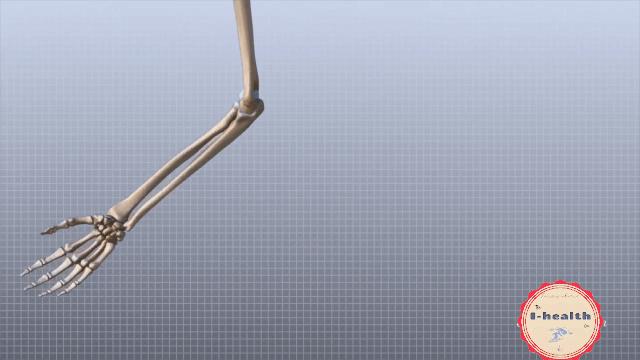 【运动损伤Respond】第一期，俯卧撑与肘关节疼痛。