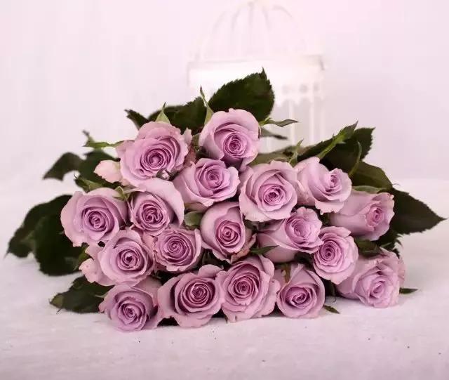 每天学习一点点女性小常识,每天学习一点点科普一下