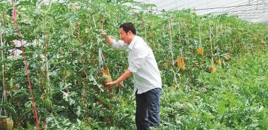 十大紧缺种植项目,种植业需要注意的问题