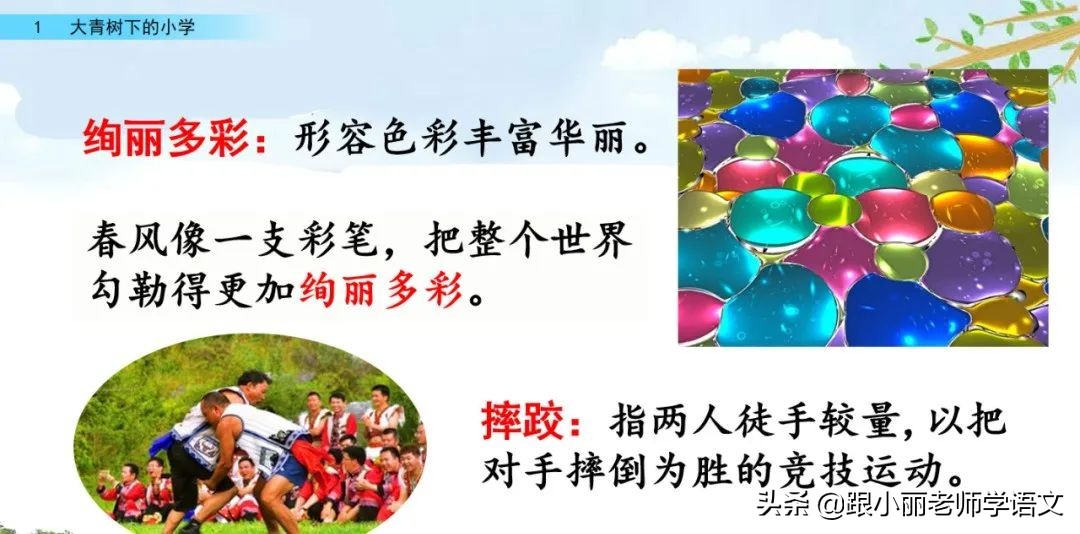 大青树下的小学重要背诵内容,大青树下的小学必会知识点