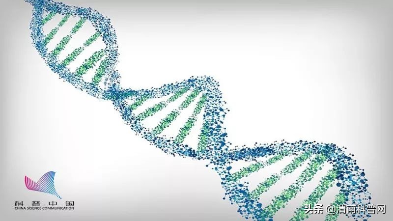 皮肤松弛引起的眼袋怎么祛除,祛除眼袋的小妙招红霉素软膏