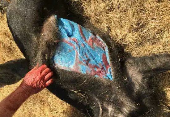 痘痘的防治方法有哪些,痘痘种类及去除办法