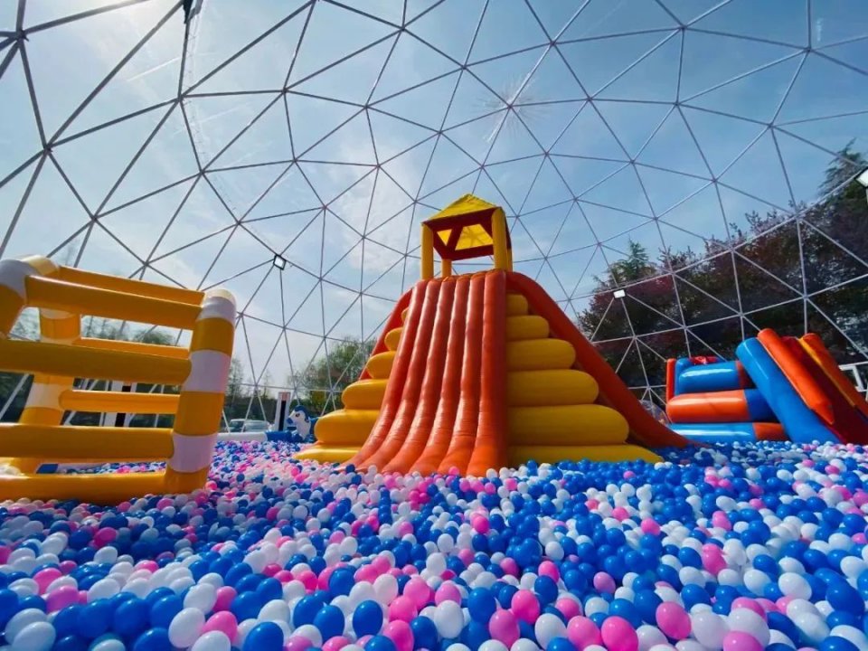 28届菏泽牡丹花会直播,38届洛阳牡丹花会直播